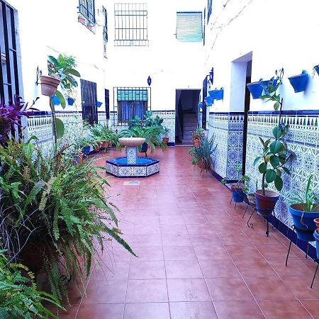 La Casa Del Patio En Pleno San Lorenzo Córdova Exterior foto